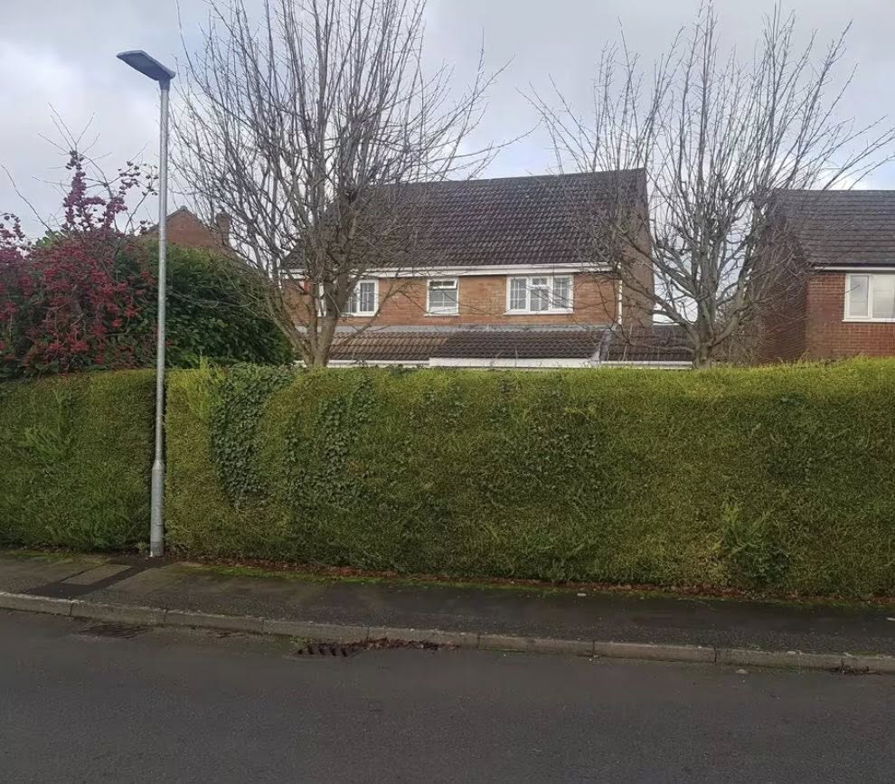 Hedge trimming in Baglan