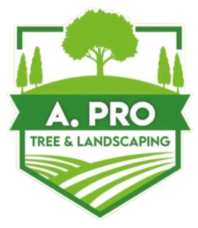 APro Tree and Landscaping in Baglan