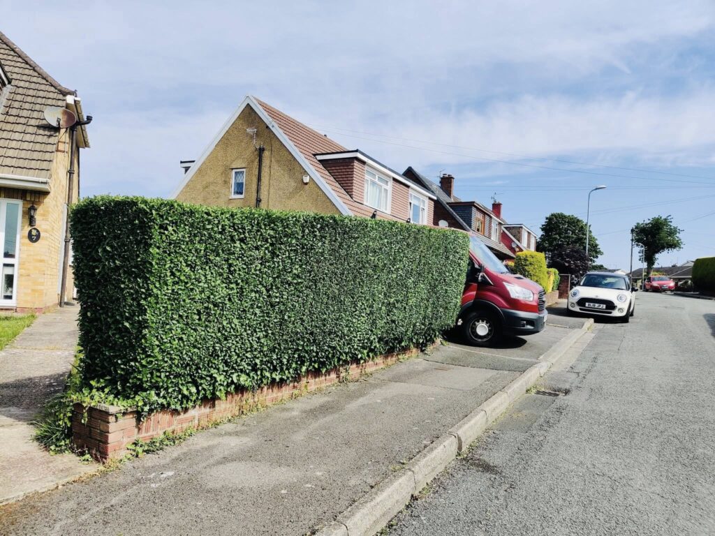 hedge trimming in Baglan, Neath Port Talbot