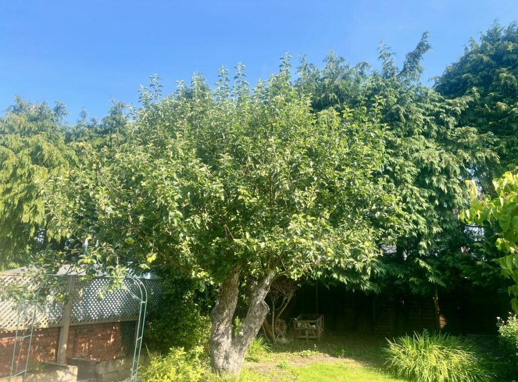 Landscapers in Bridgend 7