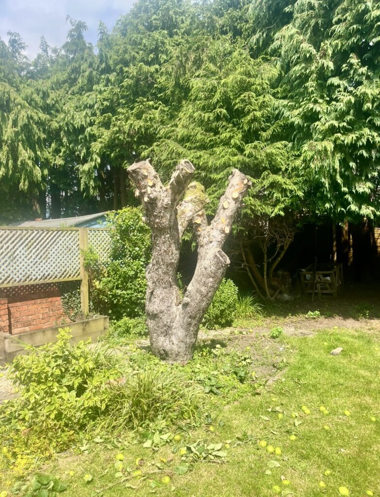 Landscapers in Bridgend 6